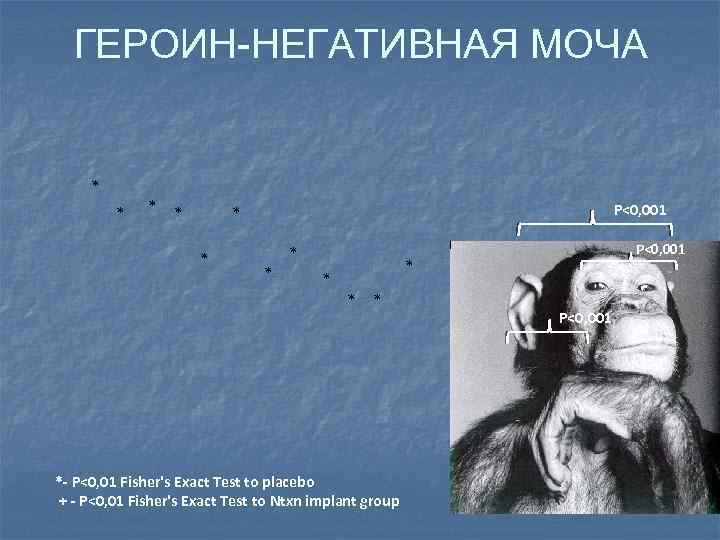 ГЕРОИН-НЕГАТИВНАЯ МОЧА * * * * P<0, 001 * * * *- P<0, 01