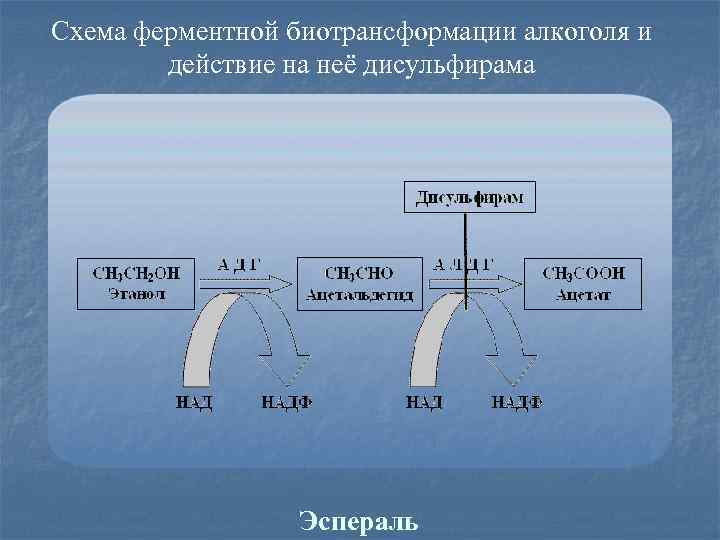 Схема ферментной биотрансформации алкоголя и действие на неё дисульфирама Эспераль 