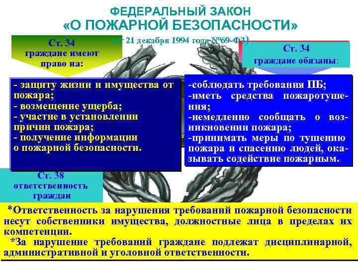 ФЕДЕРАЛЬНЫЙ ЗАКОН «О ПОЖАРНОЙ БЕЗОПАСНОСТИ» Ст. 34 граждане имеют право на: (от 21 декабря
