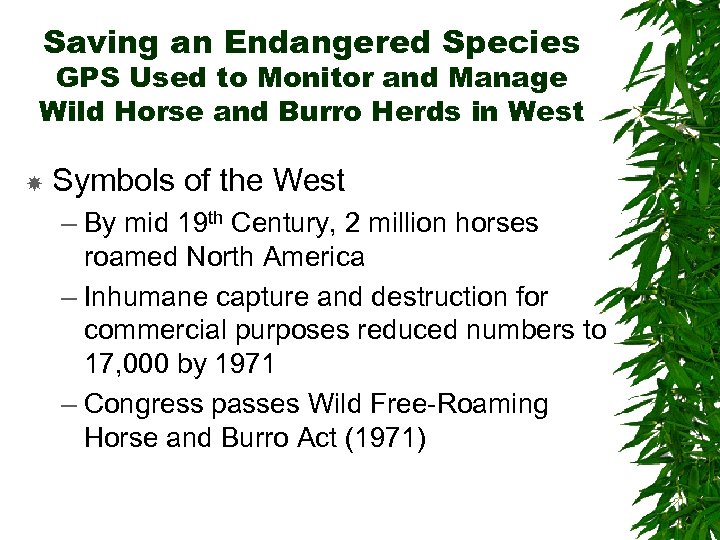 Saving an Endangered Species GPS Used to Monitor and Manage Wild Horse and Burro