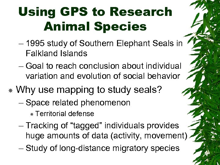 Using GPS to Research Animal Species – 1995 study of Southern Elephant Seals in
