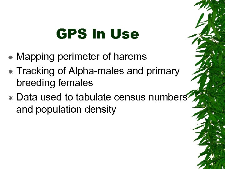 GPS in Use Mapping perimeter of harems Tracking of Alpha-males and primary breeding females