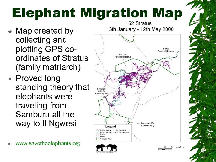 Elephant Migration Map created by collecting and plotting GPS coordinates of Stratus (family matriarch)
