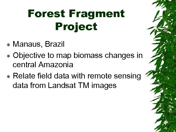 Forest Fragment Project Manaus, Brazil Objective to map biomass changes in central Amazonia Relate