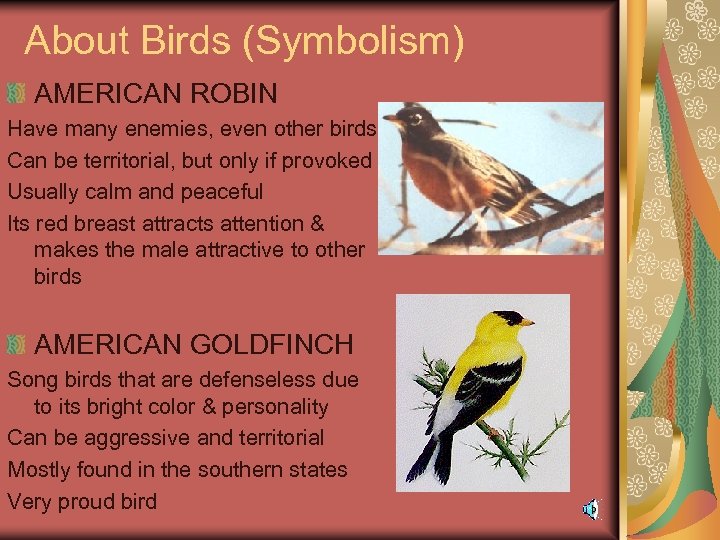About Birds (Symbolism) AMERICAN ROBIN Have many enemies, even other birds Can be territorial,