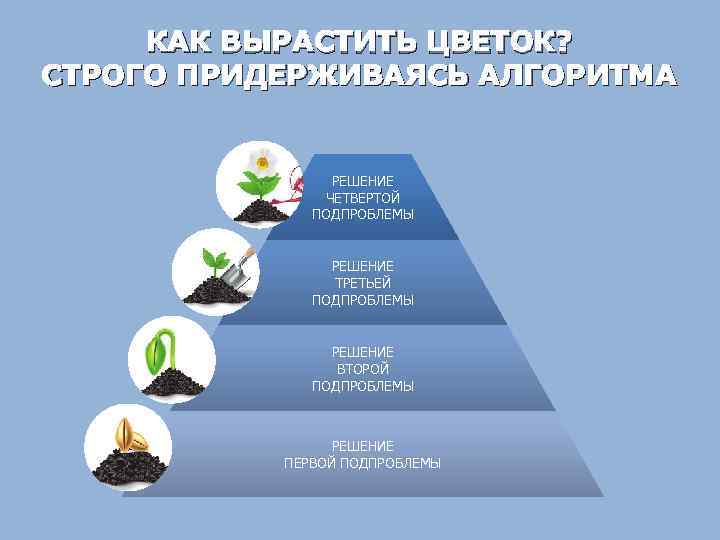 КАК ВЫРАСТИТЬ ЦВЕТОК? СТРОГО ПРИДЕРЖИВАЯСЬ АЛГОРИТМА РЕШЕНИЕ ЧЕТВЕРТОЙ ПОДПРОБЛЕМЫ РЕШЕНИЕ ТРЕТЬЕЙ ПОДПРОБЛЕМЫ РЕШЕНИЕ ВТОРОЙ