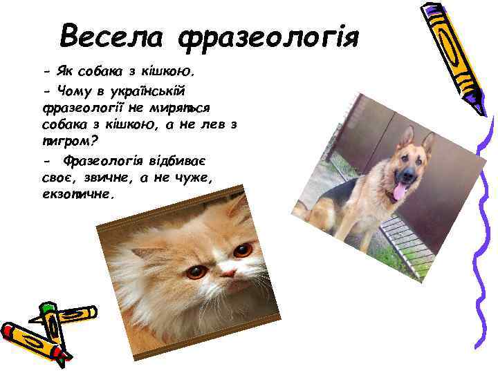 Весела фразеологія - Як собака з кішкою. - Чому в українській фразеології не миряться