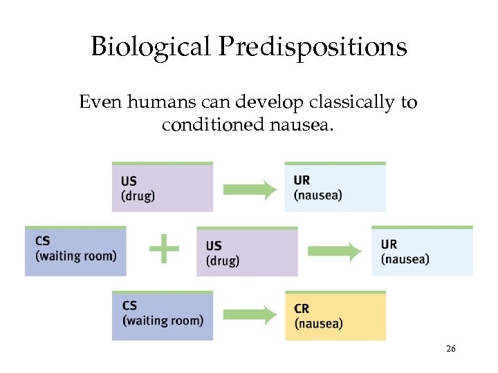Biological Predispositions Even humans can develop classically to conditioned nausea. 26 