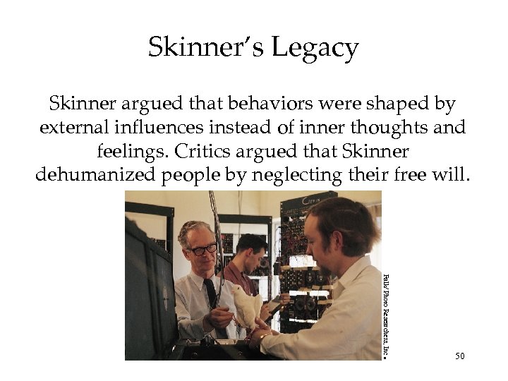 Skinner’s Legacy Skinner argued that behaviors were shaped by external influences instead of inner