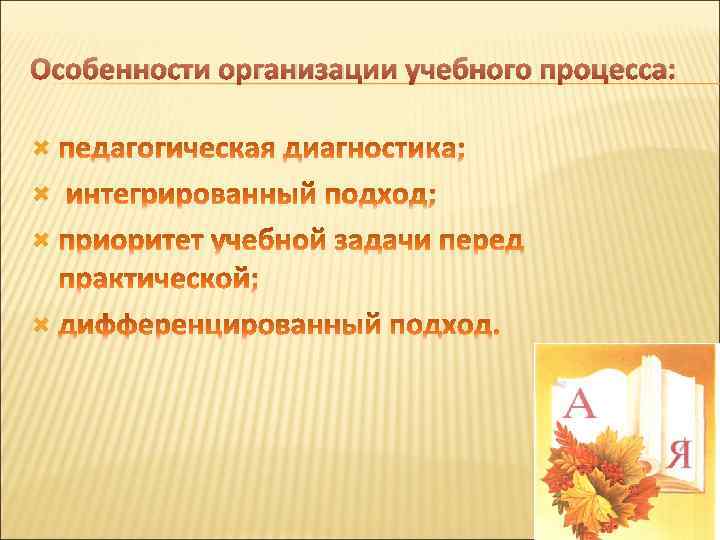 Особенности организации учебного процесса: 