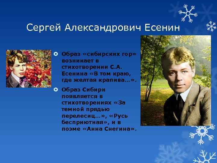 Сергей Александрович Есенин Образ «сибирских гор» возникает в стихотворении С. А. Есенина «В том