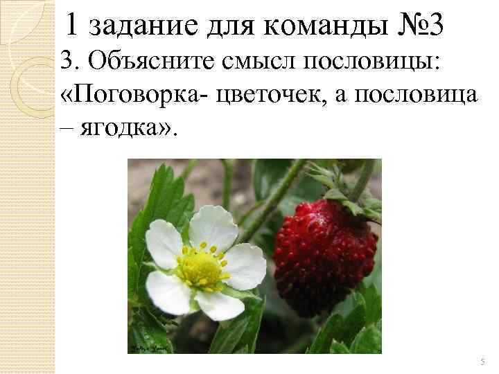 1 задание для команды № 3 3. Объясните смысл пословицы: «Поговорка- цветочек, а пословица