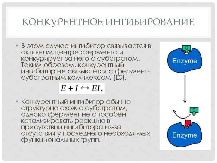 КОНКУРЕНТНОЕ ИНГИБИРОВАНИЕ • В этом случае ингибитор связывается в активном центре фермента и конкурирует