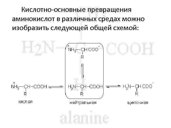 Кислотно-основные превращения аминокислот в различных средах можно изобразить следующей общей схемой: 