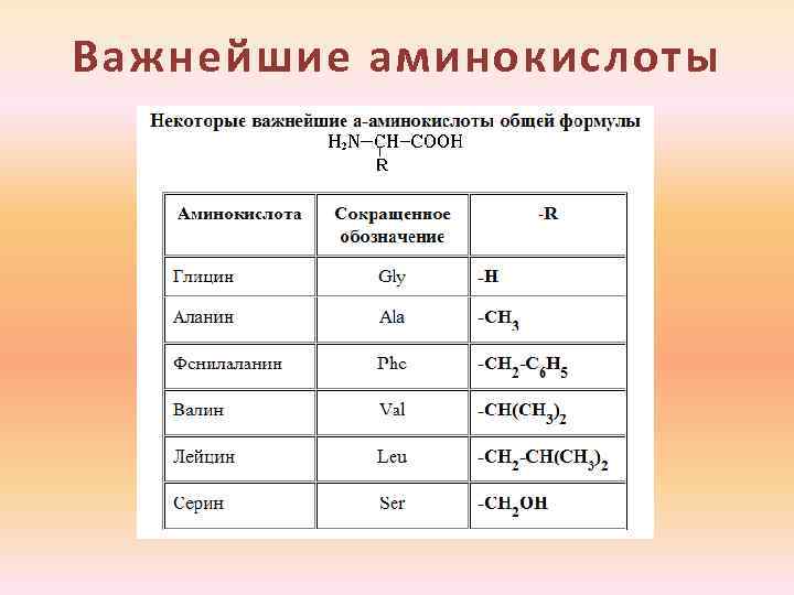 Важнейшие аминокислоты 