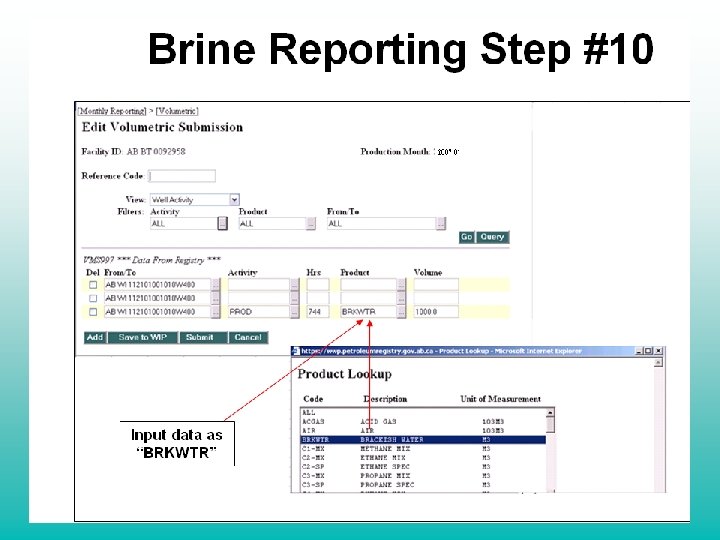 Brine Reporting Step #10 Input data as “BRKWTR” 