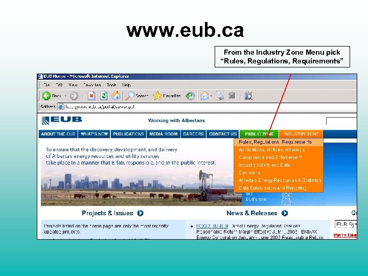 www. eub. ca From the Industry Zone Menu pick “Rules, Regulations, Requirements” 