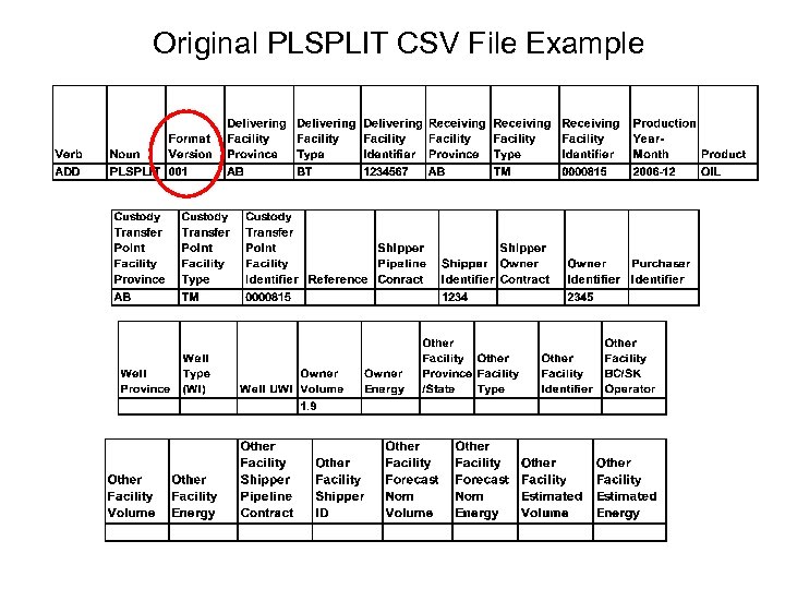 Original PLSPLIT CSV File Example 