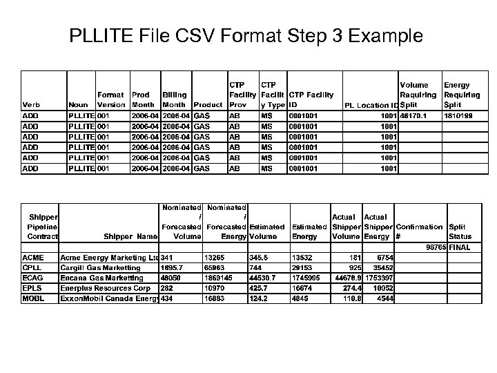 PLLITE File CSV Format Step 3 Example 