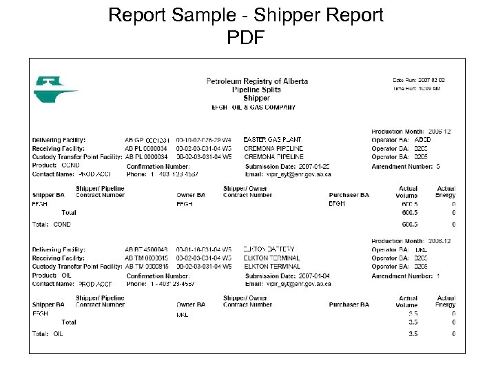 Report Sample - Shipper Report PDF 