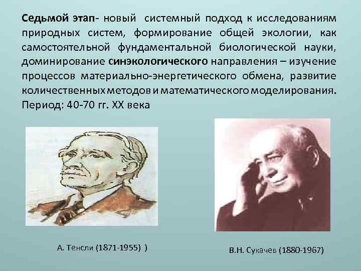 Седьмой этап- новый системный подход к исследованиям природных систем, формирование общей экологии, как самостоятельной