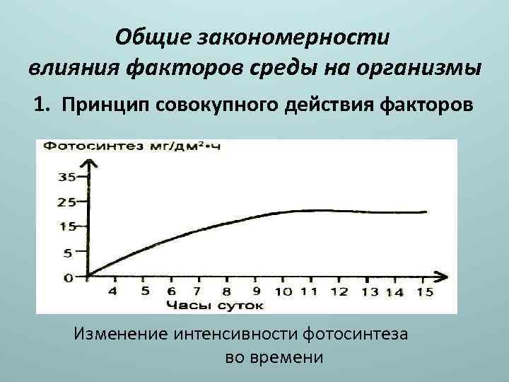 Общие закономерности влияния факторов среды на организмы 1. Принцип совокупного действия факторов Изменение интенсивности