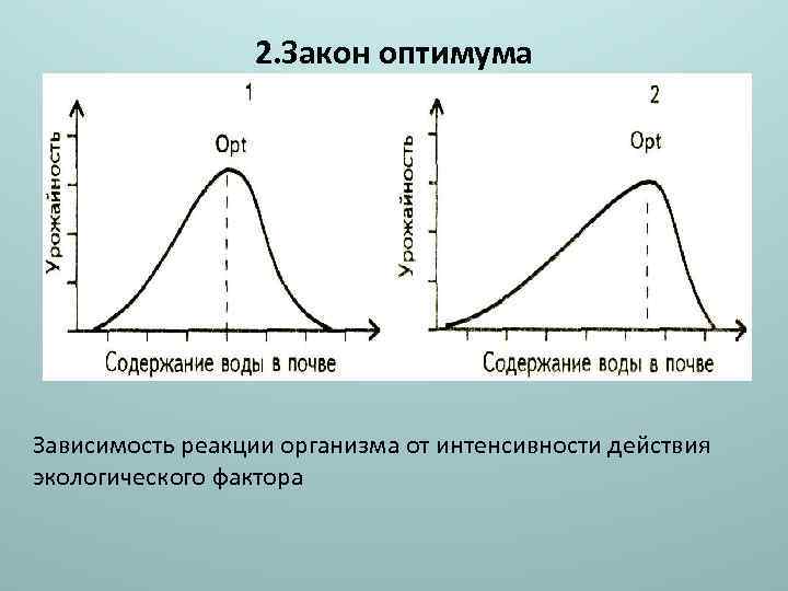 2. Закон оптимума Зависимость реакции организма от интенсивности действия экологического фактора 