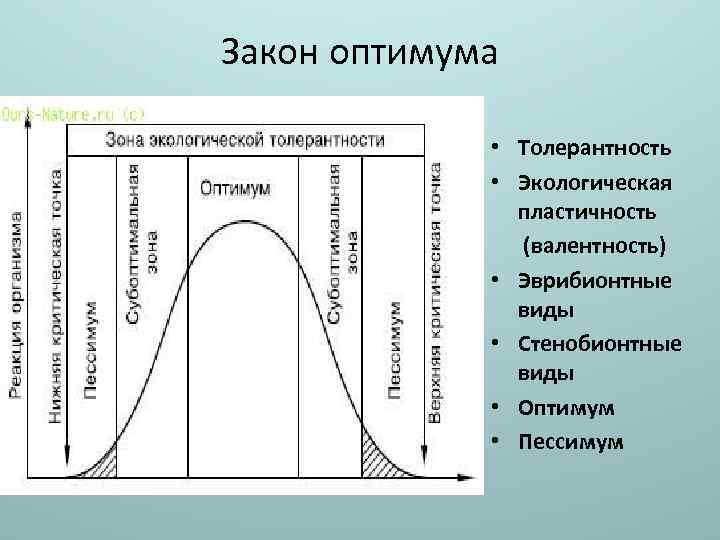 Закон оптимума презентация 9 класс