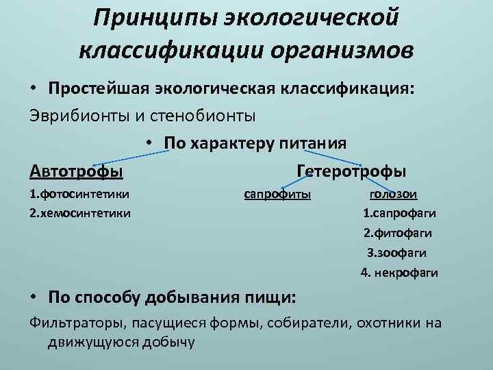 Практическая работа ознакомление с принципами систематики организмов