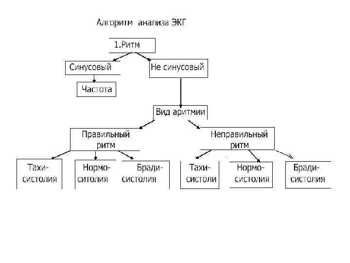 Алгоритм экг