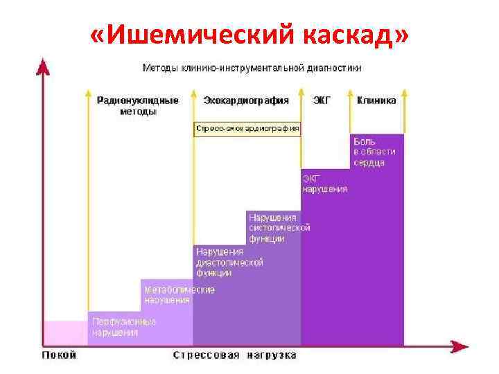  «Ишемический каскад» 