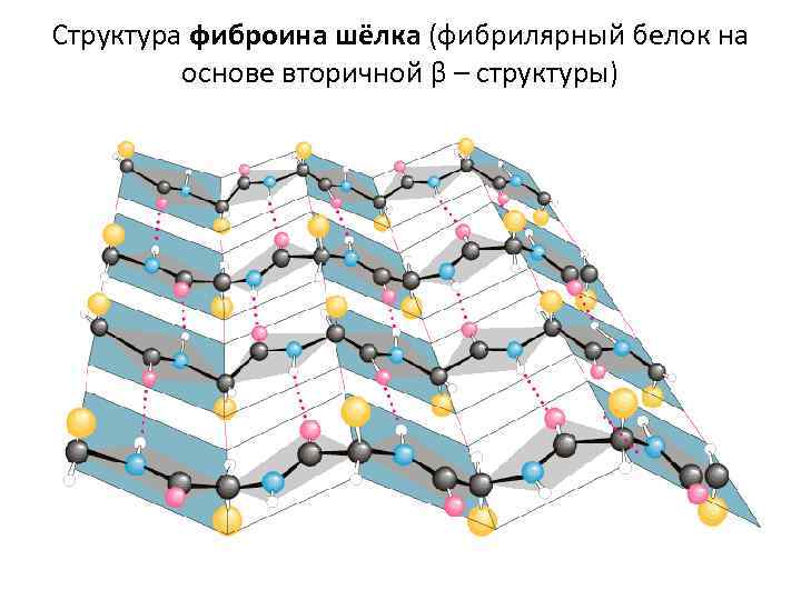 Структура фиброина шёлка (фибрилярный белок на основе вторичной β – структуры) 