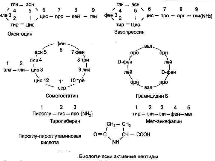 Молекулярные реакции схема