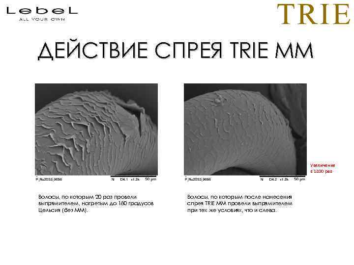 ДЕЙСТВИЕ СПРЕЯ TRIE MM Увеличение в 1200 раз Волосы, по которым 20 раз провели