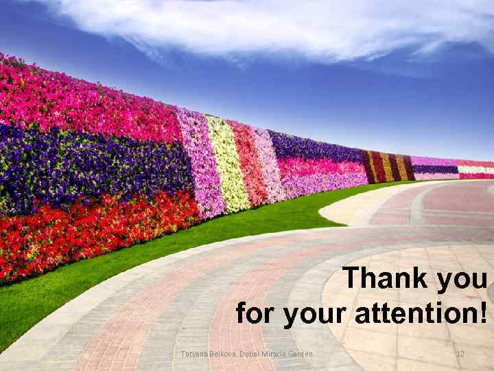 Thank you for your attention! Tatyana Belkova. Dubai Miracle Garden 12 