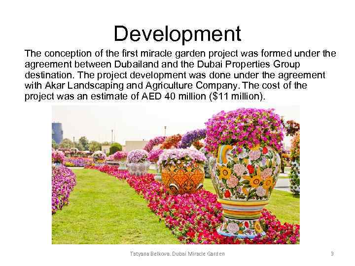 Development The conception of the first miracle garden project was formed under the agreement