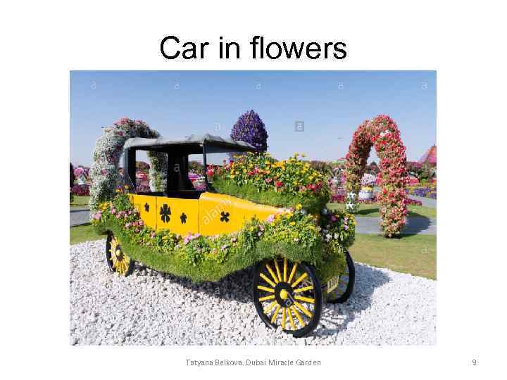 Car in flowers Tatyana Belkova. Dubai Miracle Garden 9 