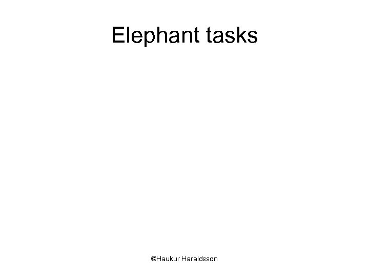 Elephant tasks ©Haukur Haraldsson 