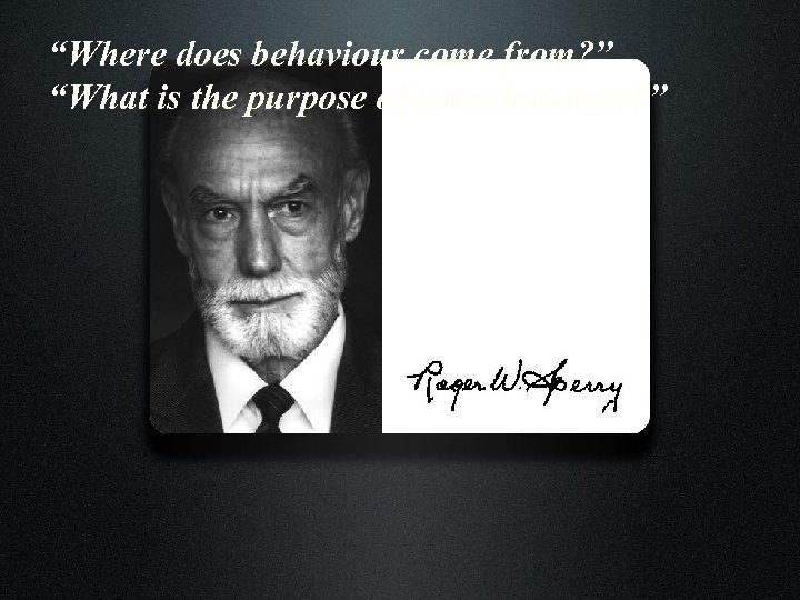 “Where does behaviour come from? ” “What is the purpose of consciousness? ” 