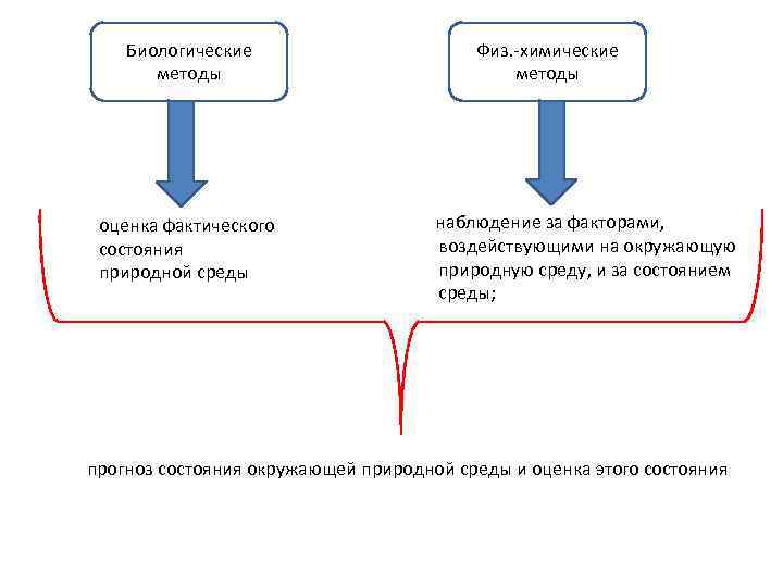 Биологические методы оценка фактического состояния природной среды Физ. -химические методы наблюдение за факторами, воздействующими