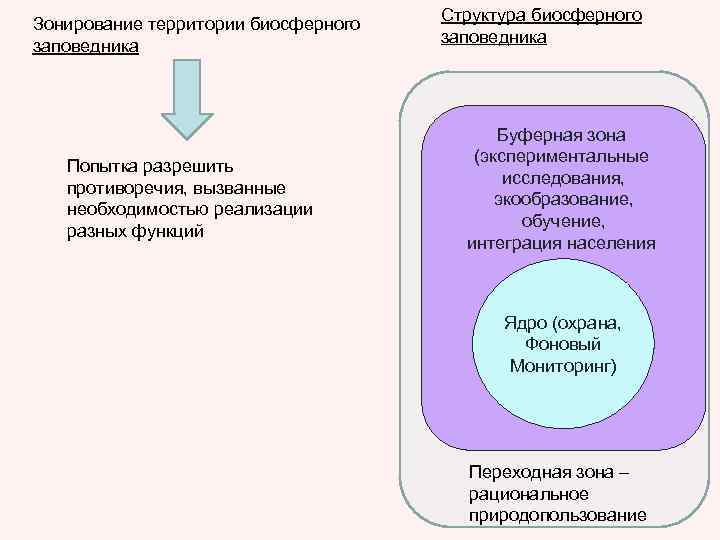 Зонирование территории биосферного заповедника Попытка разрешить противоречия, вызванные необходимостью реализации разных функций Структура биосферного