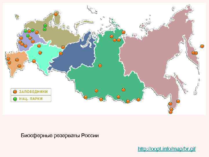 Биосферные резерваты России http: //oopt. info/map/br. gif 