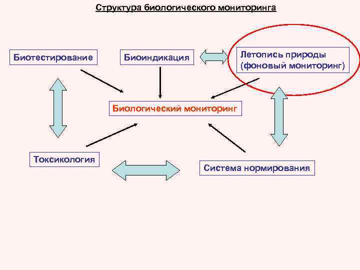 Биологический мониторинг 11 класс презентация