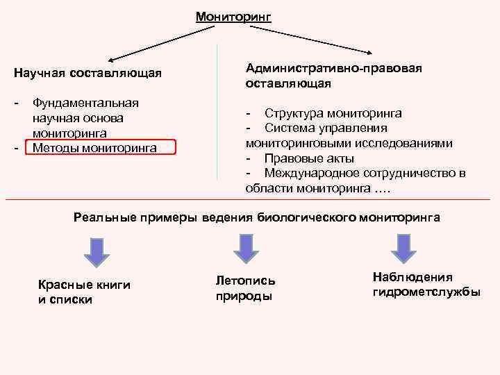 Мониторинг Научная составляющая - Фундаментальная научная основа мониторинга Методы мониторинга Административно-правовая оставляющая - Структура