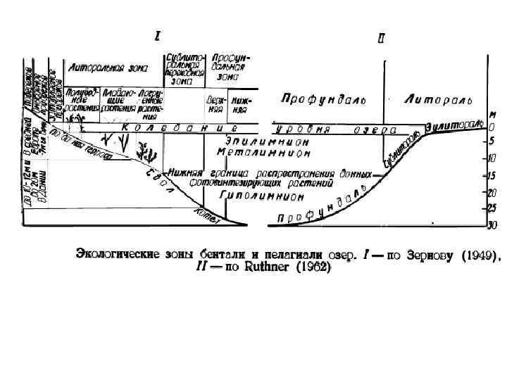 Плакор это. Экологические зоны озер. Экологические зоны бентали и пелагиали озер. Пелагиаль озера это. Экологические зоны озер схема.