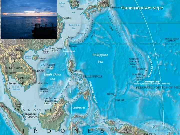 Где находится филиппина на карте. Филиппинское море границы на карте. Филиппинское море на карте мира. Где находится Филиппинское море. Филиппинское море на физической карте мира.