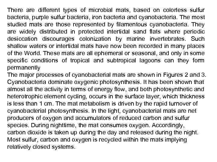 There are different types of microbial mats, based on colorless sulfur bacteria, purple sulfur