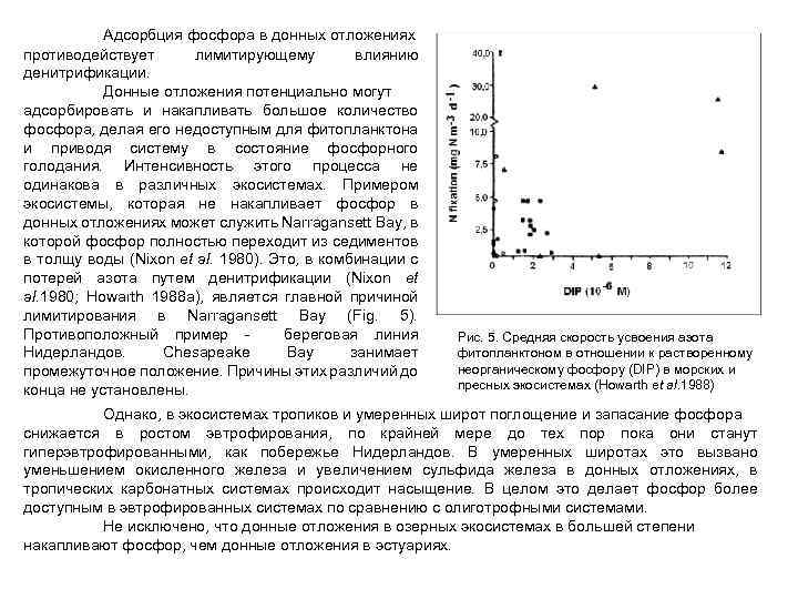 Адсорбция фосфора в донных отложениях противодействует лимитирующему влиянию денитрификации. Донные отложения потенциально могут адсорбировать