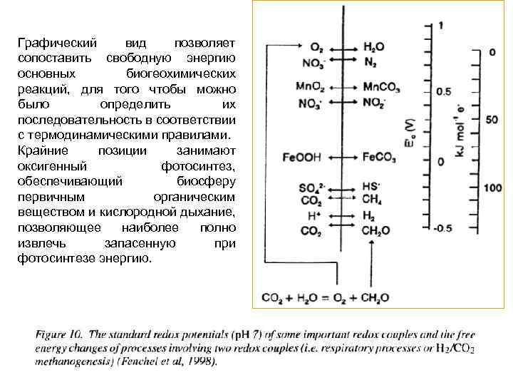 Графический вид позволяет сопоставить свободную энергию основных биогеохимических реакций, для того чтобы можно было