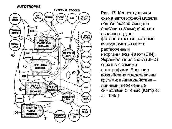 Рис. 17. Концептуальная схема автотрофной модели водной экосистемы для описания взаимодействия основных групп фотоавтотрофов,